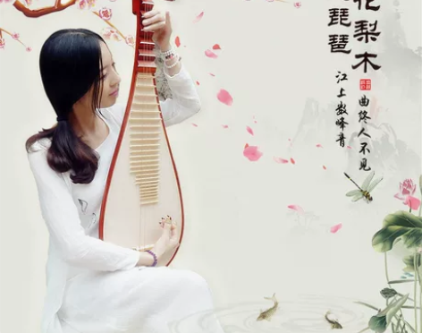 华乐琴韵红木花梨琵琶乐器学生考级歌曲戏曲成...