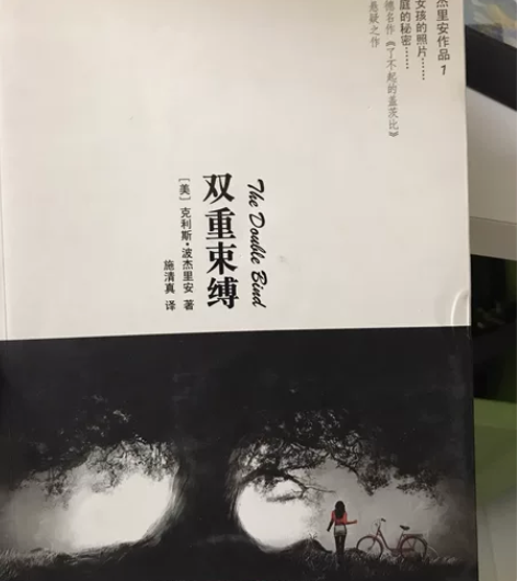 二手图书 外国文学心理悬疑小说《双重束缚》...