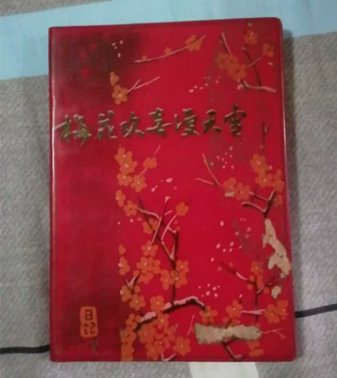 两本老日记本，70年代左右，全新有插图，年...