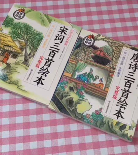 宋词三百首绘本 唐诗三百首绘本 全新 15...