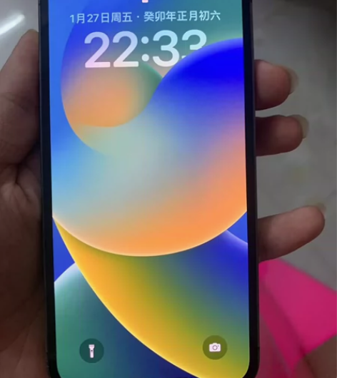 苹果12pro 因为去玩的时候掉在地上然后...