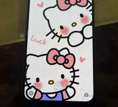oppo reno 8 5G(从手机店买的...