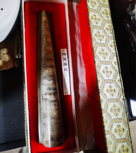 震旦角石 感兴趣的话点“我想要”和我私聊吧...