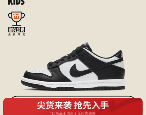Nike耐克官方儿童DUNK大童运动童鞋春...