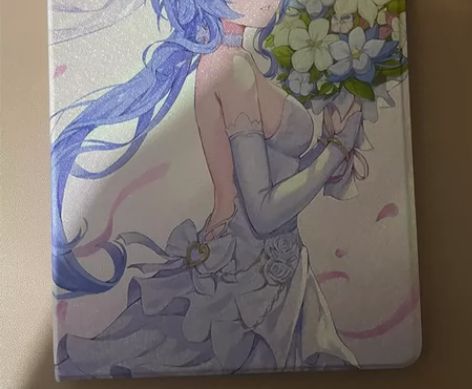 自用iPad7代  2019版  Wi-F...