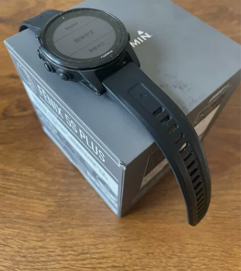 个人，佳明手表Garmin FENIX5S...