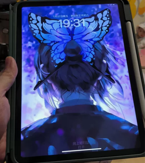 大吉大利，买既赚到！国行ipadpro20...