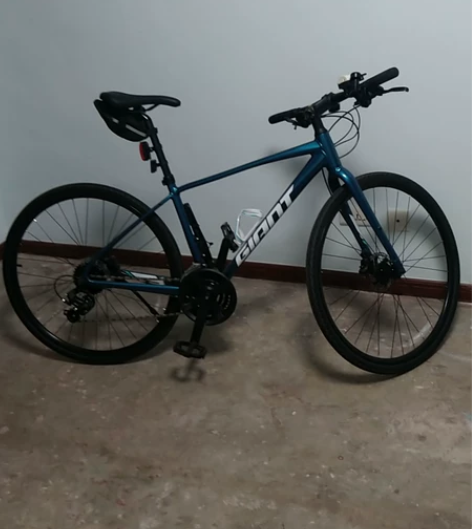 正品捷安特ESCAPE(S1),直把公路,...