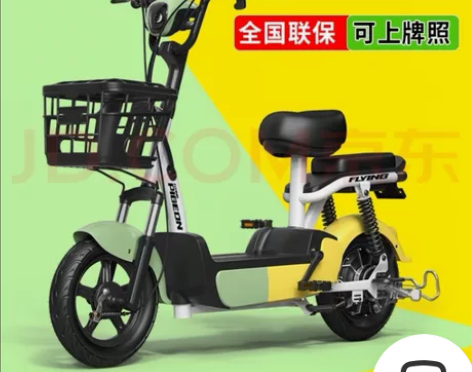 出飞鸽新国标电动车,型号TDT6003Z,...