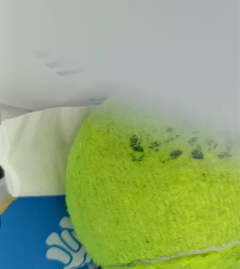 二手网球,10个 感兴趣的话点“我想要”和...