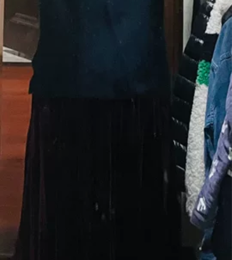 金丝绒百褶裙，非常低调的这种什么红我描述不...