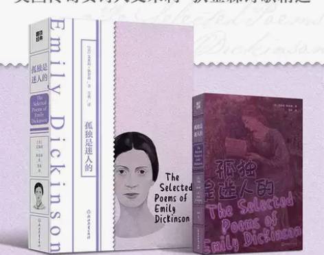 书籍外国文学外国孤独是迷人的 世界名著小说...