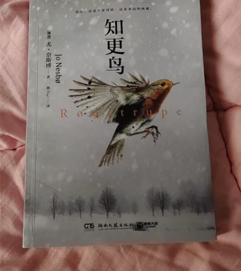 知更鸟 挪威尤·奈斯博 湖南文艺出版社 外...