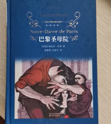 巴黎圣母院 感兴趣的话点“我想要”和我私聊...