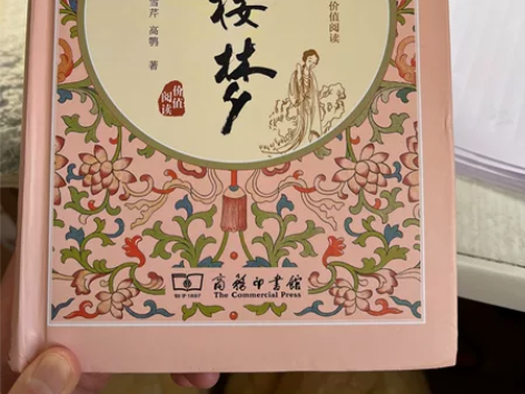 红楼梦精装版本，无障碍阅读，有注音和解释。...