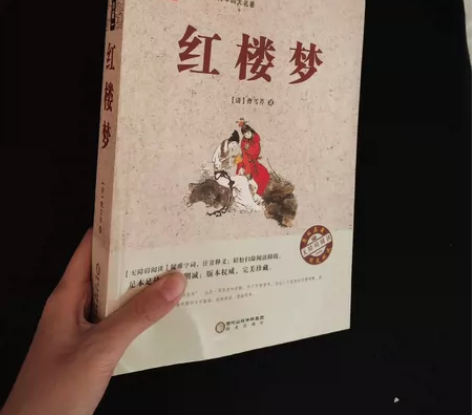 红楼梦 原著 未删减版 中国古典文学四大名...