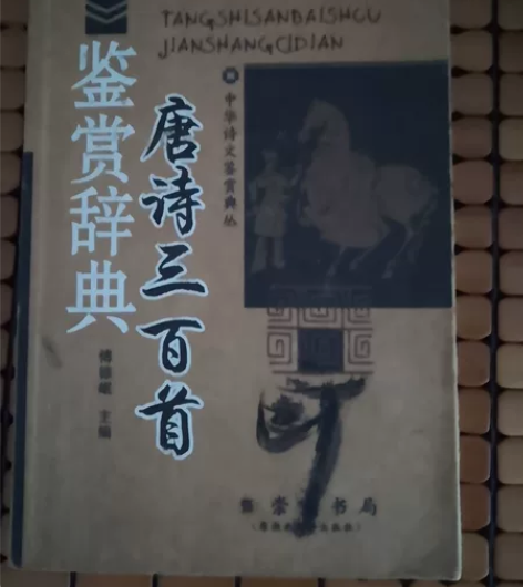 《唐诗三百首》《宋词三百首》《妞妞》《且听...