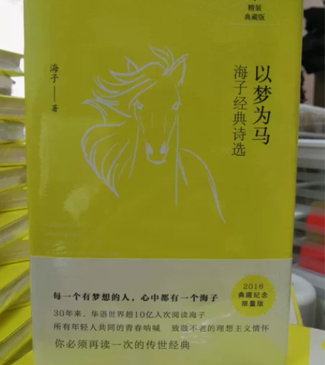 以梦为马 海子经典诗选 当当购买,送货...