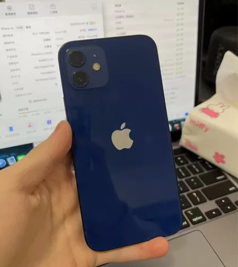 iPhone 12 蓝色9新 成色小花 电...