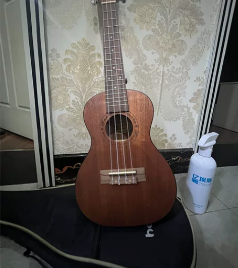 自己玩儿的尤克里里，23寸桃花芯。确实没时...