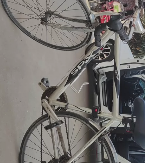 喜德盛品牌自行车，喜欢者可拍平时可以骑骑自...