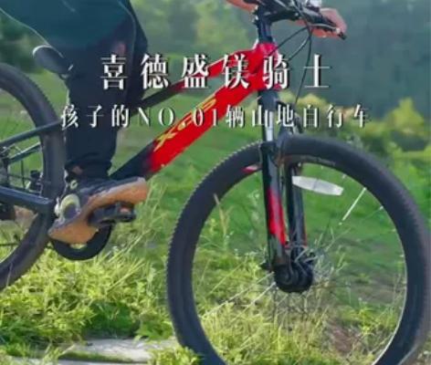 喜德盛(xds) 喜德盛山地车,镁骑士24...