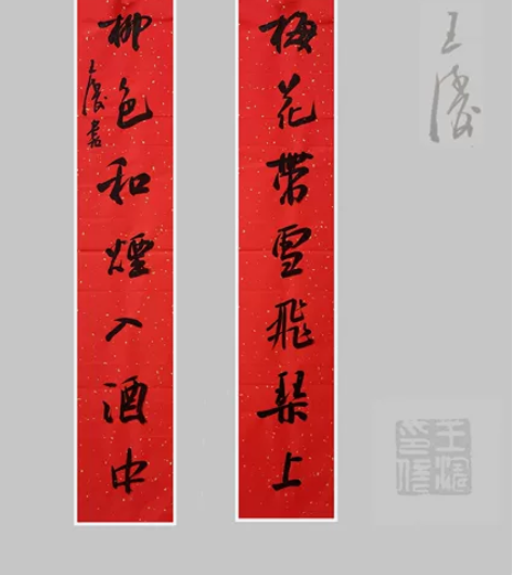 王涛   十二届十届九届国展获奖实力派书法...