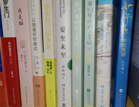 出闲置小说 青春文学 正版 仅翻阅 保存完...
