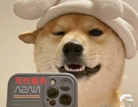 写文章服务，写dai诗歌 散文 事迹等各种...