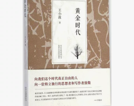 黄金时代 王小波 随笔散文集 当代文学杂文...