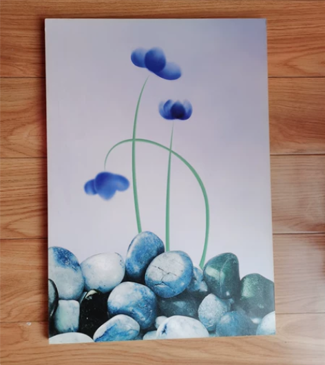 简约无框画50*35cm 感兴趣的话点“我...