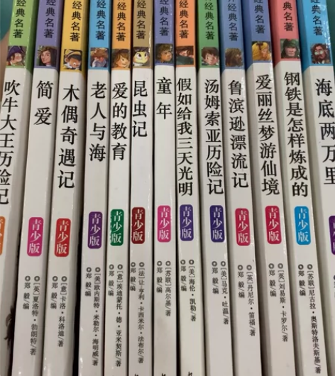 老人与海等13册小学必读经典，有个把本被小...