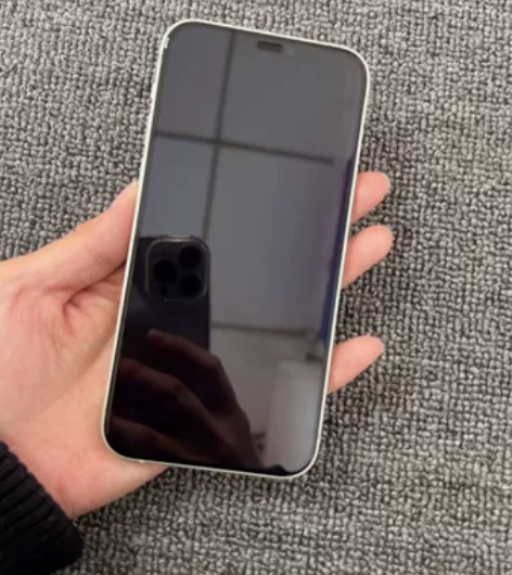 苹果12 国行双卡 纯原 128g内存 成...