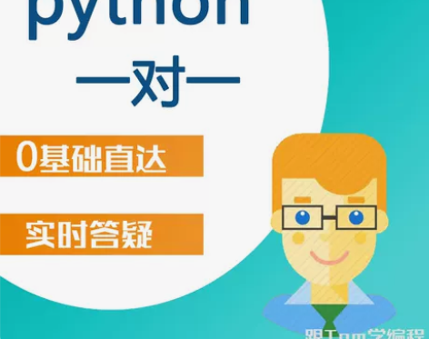 基础入门基础python编程培训一对一辅导...