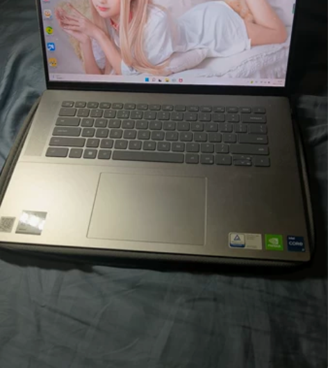DELL/戴尔 灵越16Pro 12代英特...