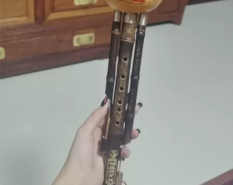 葫芦丝乐器初学者降B调防摔儿童小学生专用 ...