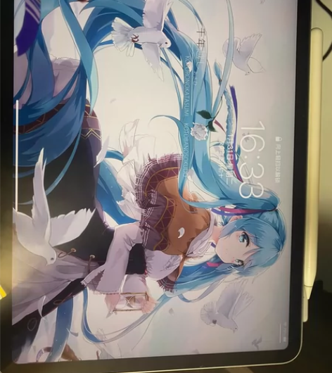 iPad Pro2021版,21年七月份买...