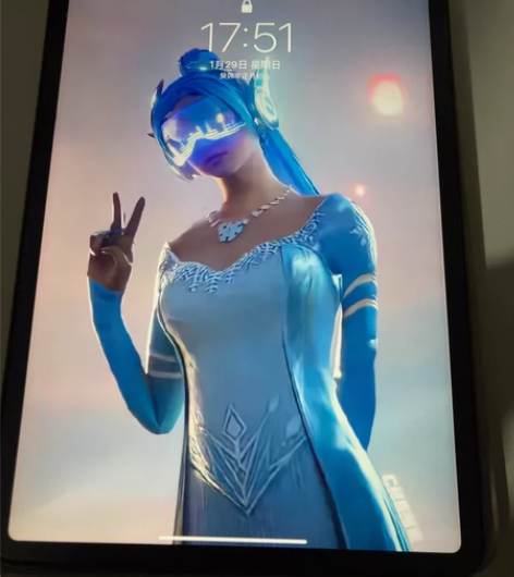 国行ipad pro2021  Wi-Fi...