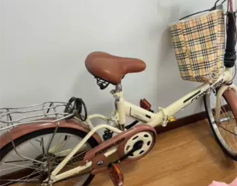 永久自行车 99新 只上过一两次路 车轮都...