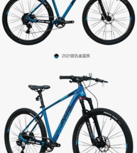 门店购买（今年5月份），喜德盛侠客600，...