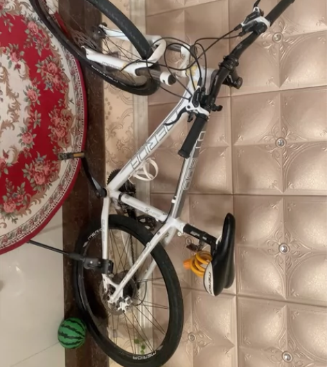 MERIDA 美利达领航者600，读高中时...