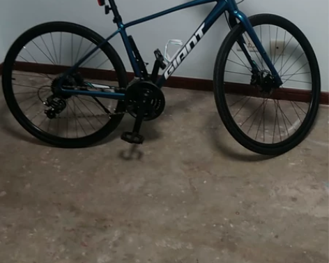 正品捷安特ESCAPE（S1），直把公路，...