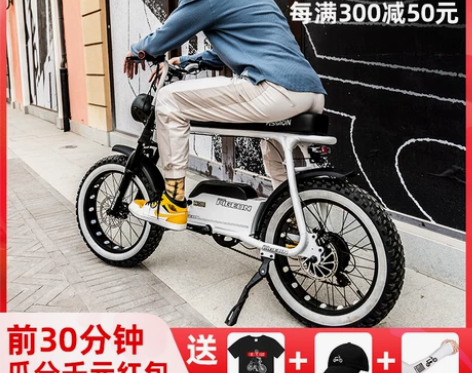 飞鸽复古电动车锂电雪地越野助力男女成人学生...