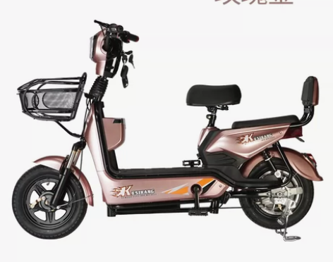 电动车 科思康新国标电动车48V电瓶 去年...