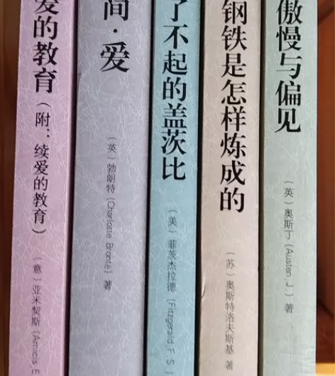 爱的教育，简爱，了不起的盖茨比，钢铁是怎样...