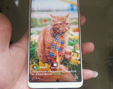 oppoR11splus，664，全原装手...