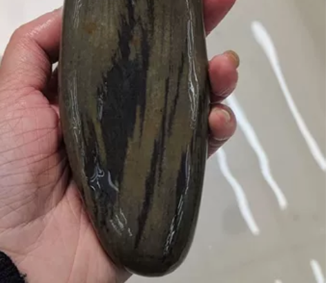 长江石水墨石外型石(16×5.5×3.5)...