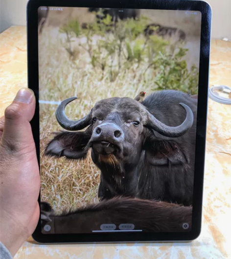 iPad Air4代(2020) 10.9...