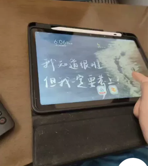本人自用华为华为Mate  Pad 10....