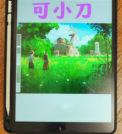 ipad  air3  64g 屏幕状态和...